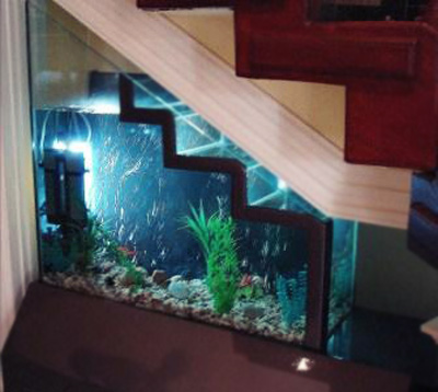 Có nên đặt bể cá ở gầm cầu thang - Archi